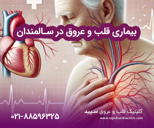 بیماری قلب و عروق در سالمندان