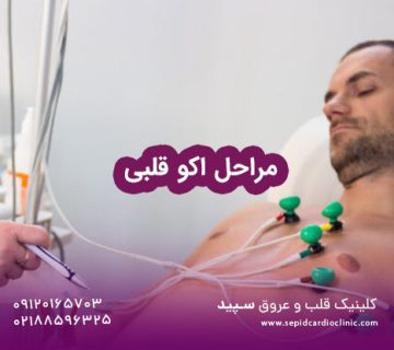 مراحل اکو قلبی