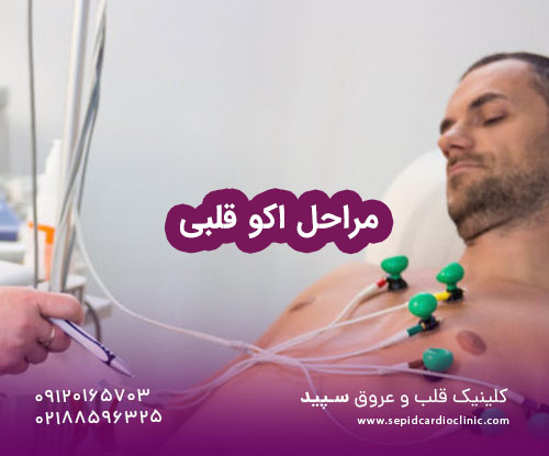 مراحل اکو قلبی