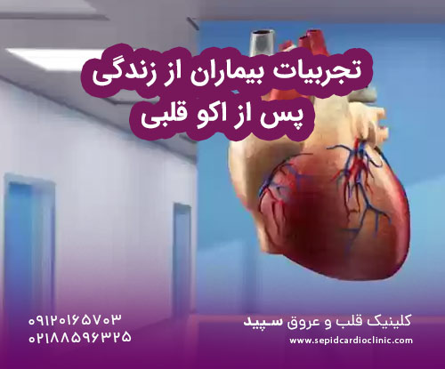 تجربیات بیماران از زندگی پس از اکو قلبی